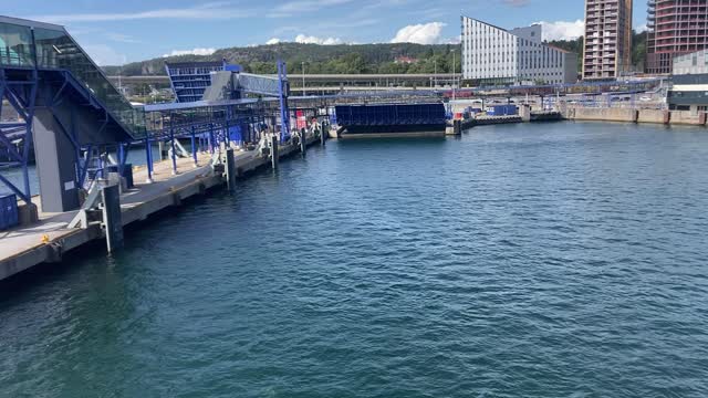 IMG_7464.MOV
